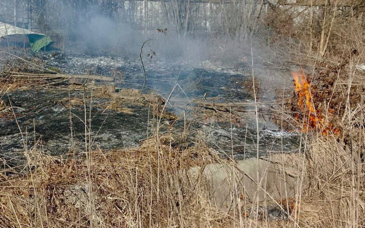 Росіяни поранили мешканку Чернігівщини, яка працювала на городі