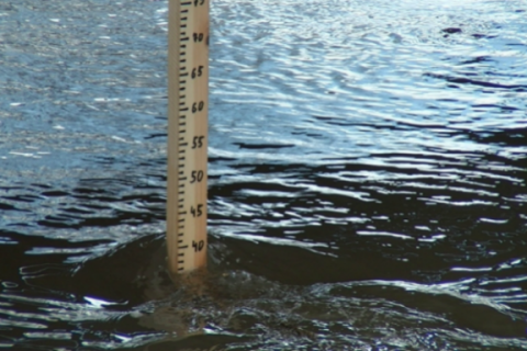 ГосЧС предупреждает о новом повышении уровня воды на Закарпатье и Прикарпатье 