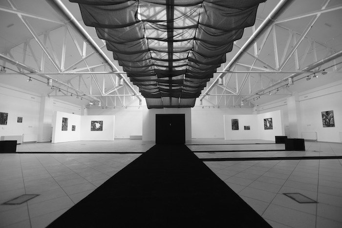 Виставка Олекси Манна в Інституті проблем сучасного мистецтва