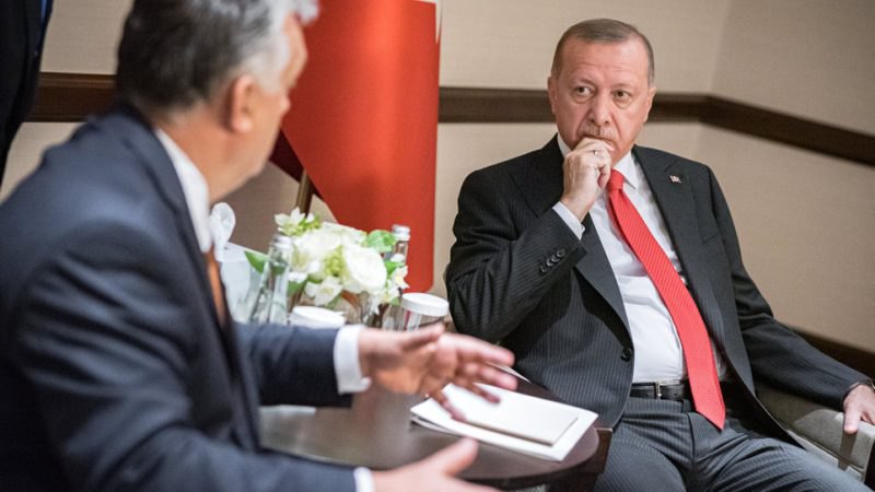 Президент Туреччини Реджеп Таїп Ердоган і прем’єр-міністр Угорщини Віктор Орбан під час зустрічі в Баку, 15 жовтня 2019 року