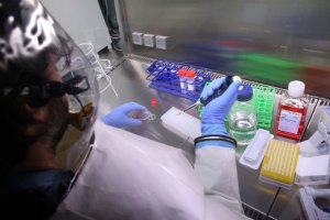 Американські вчені провели успішні випробування вакцини проти Еболи