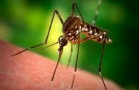 У Кропивницькому зафіксований другий з початку року випадок малярії