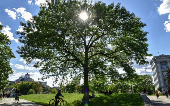 В Україні в неділю переважно без опадів, вдень буде до +16°