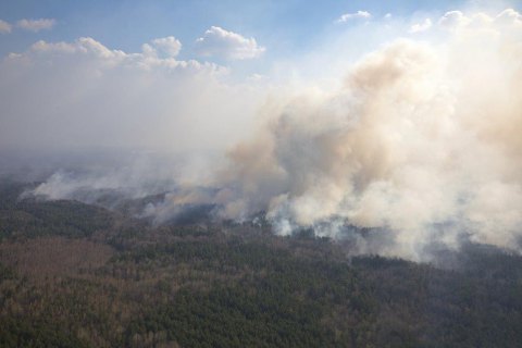 МВС назвало версії виникнення лісових пожеж на півночі України