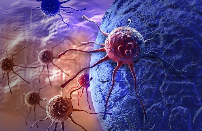 Раковые клетки в организме человека