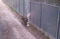 Мігранти підпалили польський прикордонний знак на кордоні з Білоруссю