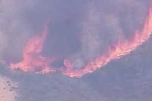 В Калифорнии из-за лесных пожаров эвакуировали 480 домов