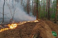 Через російські обстріли на прикордонні Чернігівщини тривають масштабні пожежі