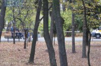 В Наводницком парке Киева обнаружен труп мужчины с ножевым ранением