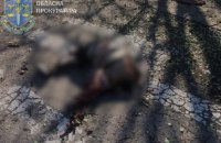 Росіяни обстріляли з артилерії село на Херсонщині, загинула жінка