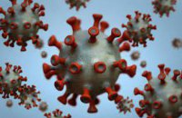 Причину появи коронавірусу, ймовірно, не встановлять ніколи, – Нацрозвідка США