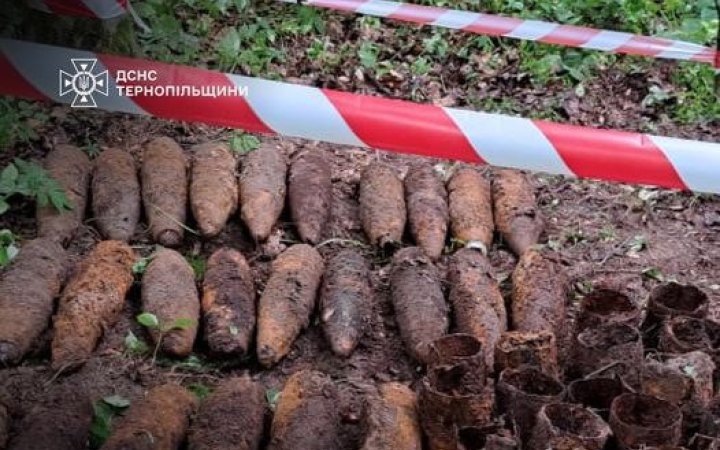 На Тернопільщині в лісі знайшли 21 артснаряд часів Другої світової війни