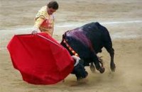 Во время "забега быков" в Испании погиб 55-летний мужчина 