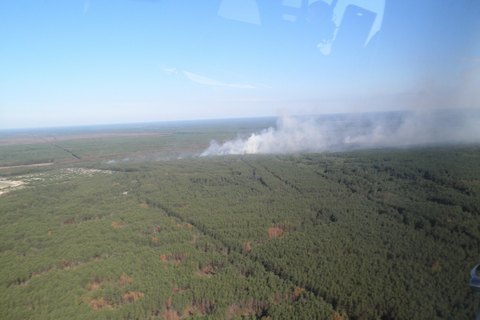 Пожар в Чернобыльской зоне потушили
