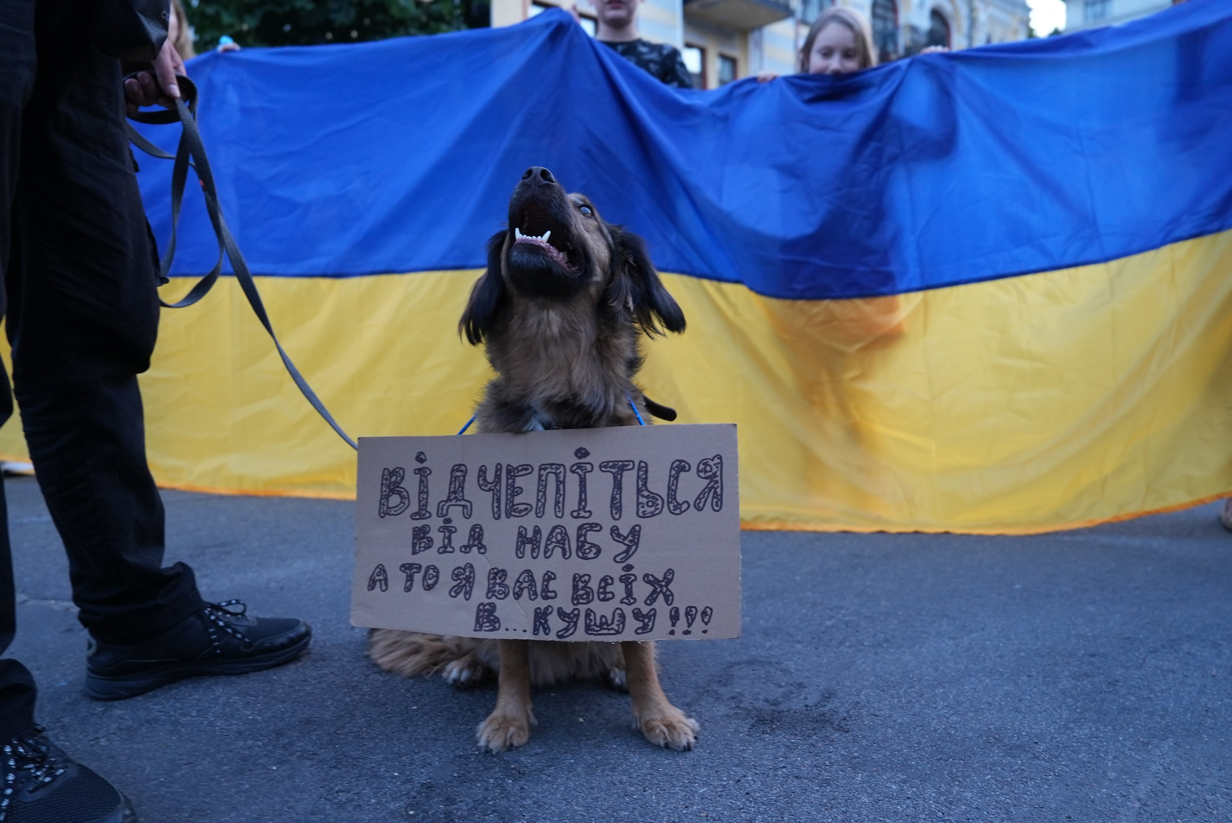 Акція протесту біля театру Франка у Києві 24 липня 2025 року