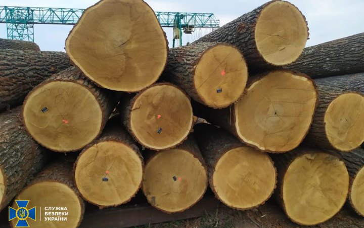 Розслідування: Польські фірми ввозять у ЄС підсанкційну деревину з Білорусі під виглядом казахстанської 
