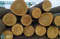 Розслідування: Польські фірми ввозять у ЄС підсанкційну деревину з Білорусі під виглядом казахстанської 