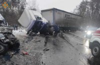 Водитель грузовика задержан за ДТП с маршруткой возле Чернигова, в котором погибли 13 человек