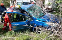 У Кривому Розі авто влетіло у дерево, постраждали водійка та дитина