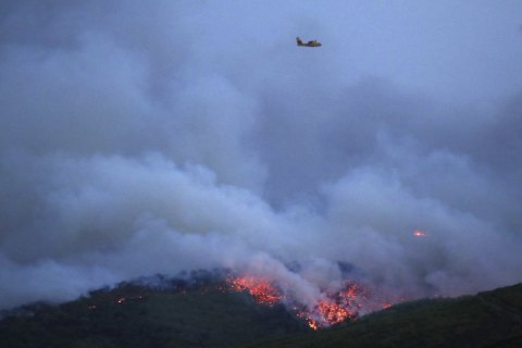 Семь стран Южной Америки подписали соглашение о противодействии лесным пожарам