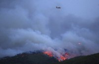Семь стран Южной Америки подписали соглашение о противодействии лесным пожарам