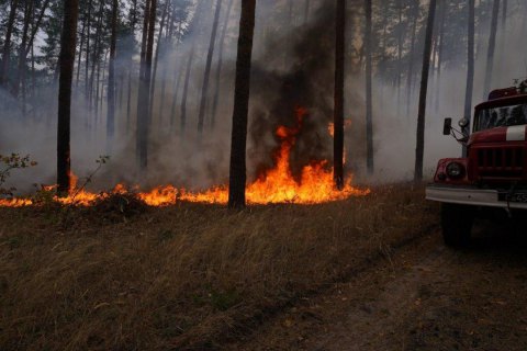Рятувальники локалізували один з осередків лісової пожежі в Луганській області