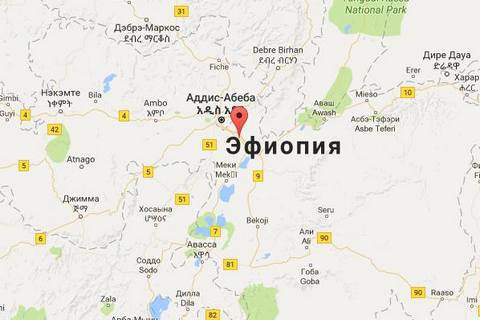 Під час розгону релігійного фестивалю в Ефіопії загинули 50 осіб