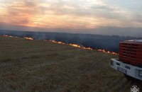 На Миколаївщині за добу пожежі знищили 27 га пшениці 