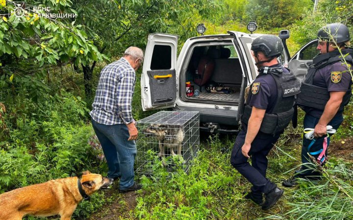 Рятувальники евакуювали літнього чоловіка та його домашніх улюбленців з прифронтового Куп'янська