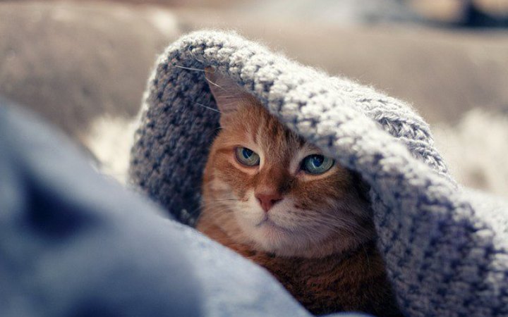 У неділю в Україні вдень до 15° морозу, місцями ожеледиця