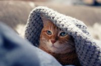 У неділю в Україні вдень до 15° морозу, місцями ожеледиця