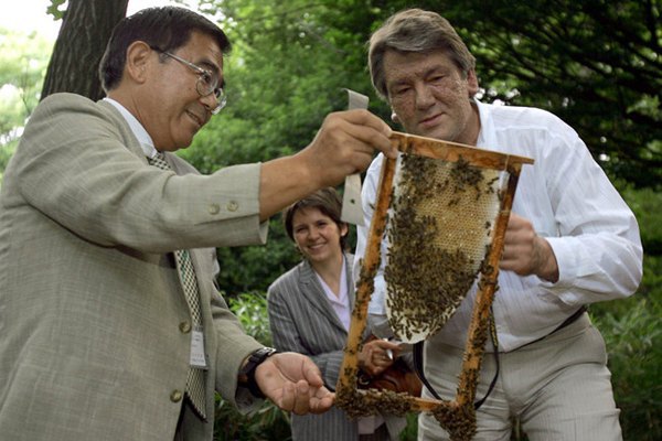 Президент Ющенко посприяв ще більшій сакралізації меду всередині країни
