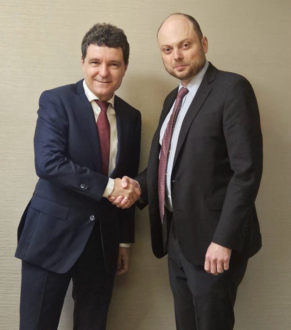 Зустріч Нікушора Дана й Володимира Кара-Мурзи