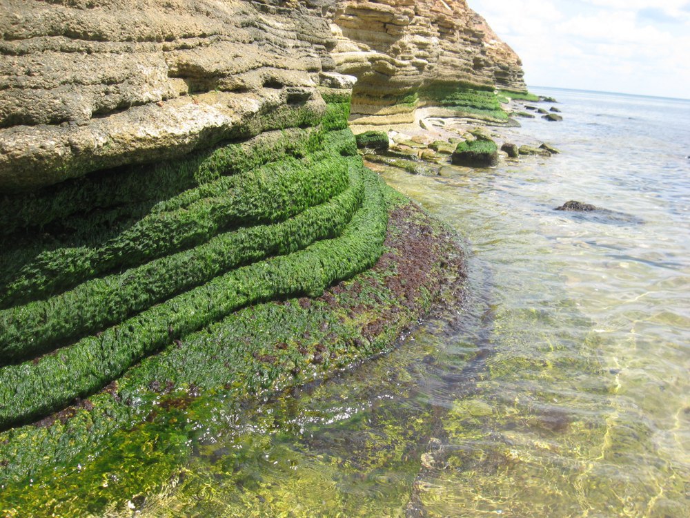 Скелясті береги, які могли опинитися в епіцентрі забруднення