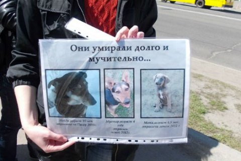 За жорстоке поводження з тваринами Рада ввела до 8 років в’язниці