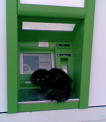 Того же авторства уличная хранительница банкомата