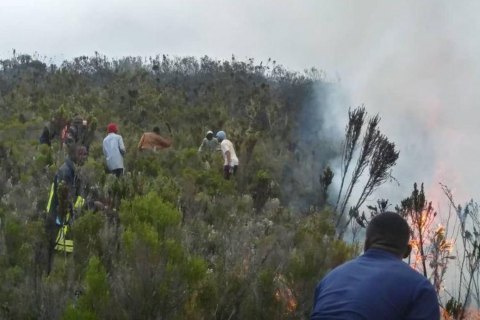 Найвищу гору Африки Кіліманджаро охопила пожежа