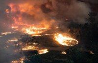 В столице Австралии из-за пожаров объявили чрезвычайное положение 