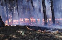 В борьбе с лесными пожарами в Португалии гибнут огнеборцы