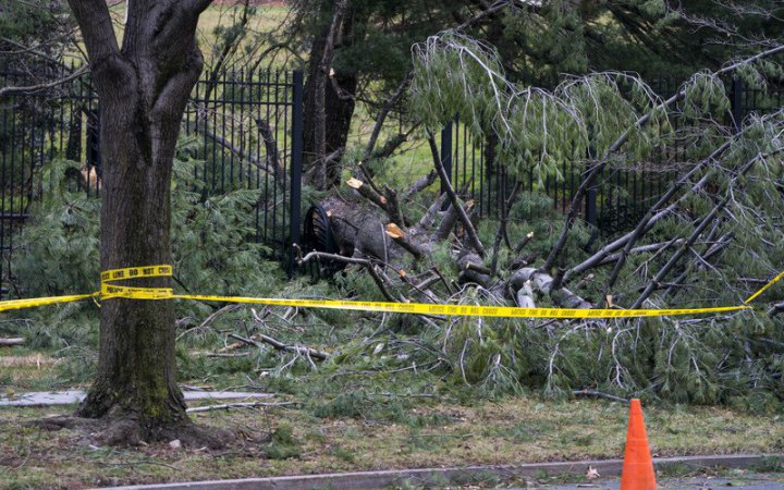 ​На Львівщині дерево впало на вагон електрички, є травмовані