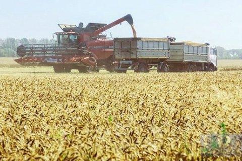 Україна четвертий рік поспіль збирає більш ніж 60 млн тонн зерна