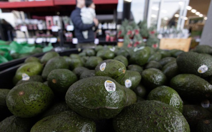 Держпродспоживслужба: інформація про появу в Україні отруйного авокадо не має офіційного підтвердження