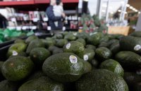Держпродспоживслужба: інформація про появу в Україні отруйного авокадо не має офіційного підтвердження