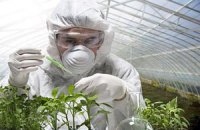 В Минагрополитики собираются разрешить выращивание ГМО-культур в Украине