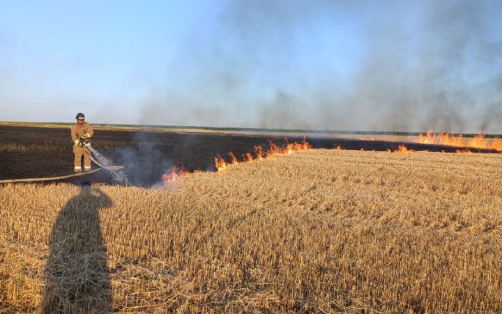 На Дніпропетровщині через ворожі обстріли горіло пшеничне поле