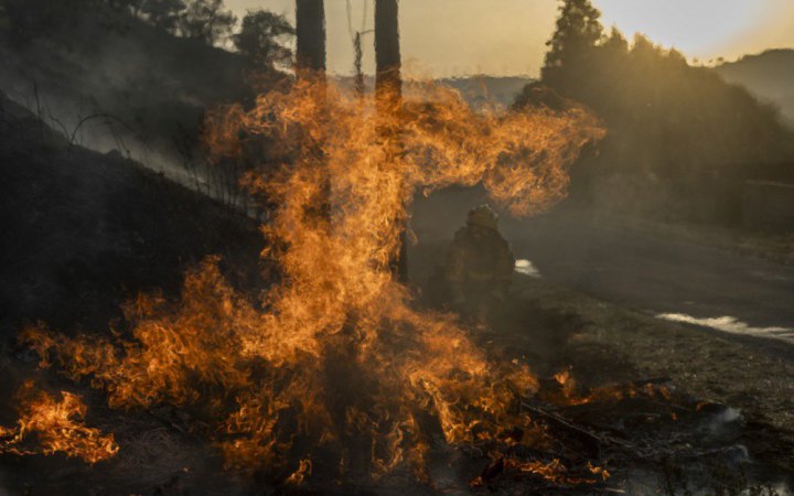 ЄС надішле Іспанії допомогу в боротьбі з лісовими пожежами, кількість жертв зросла