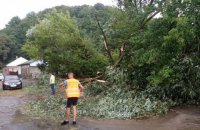 Затопленные улицы, поваленные деревья, выключенное электричество: в Черновцах пронесся мощный ураган 