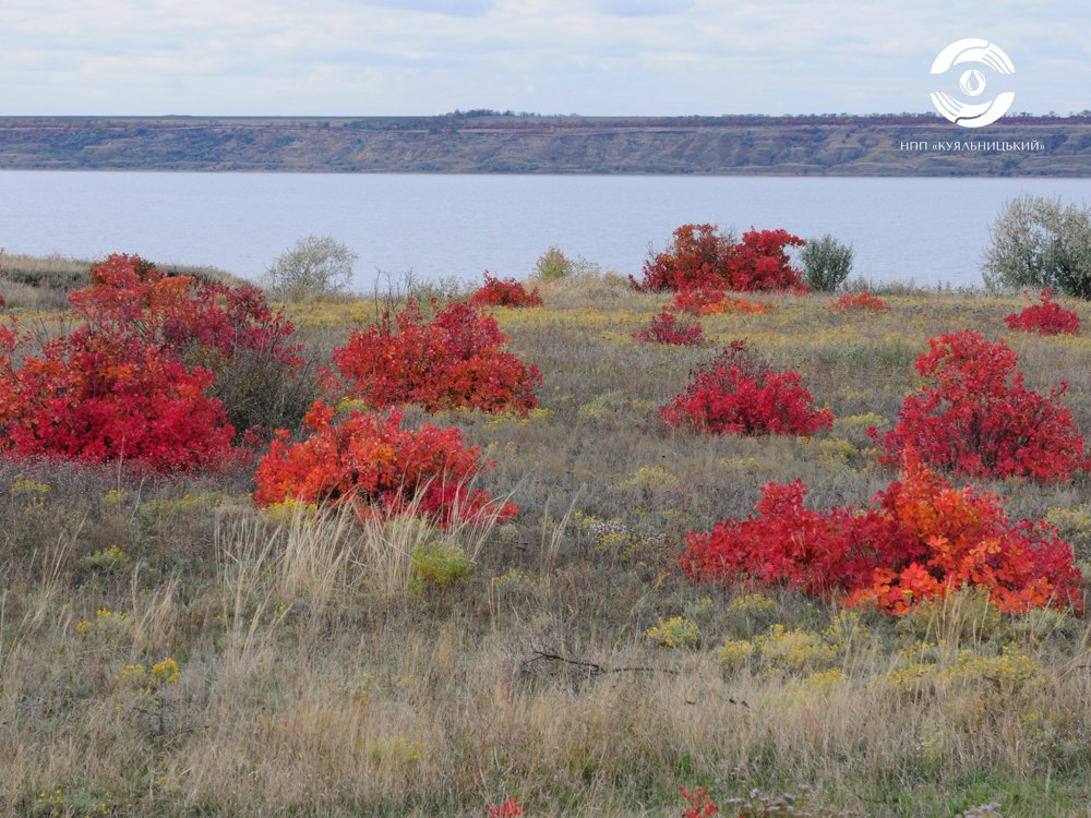 Ландшафти НПП «Куяльницький»
