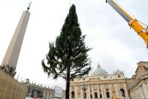На центральной площади Рима установили елку из Украины
