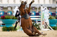 Grand National: у лошади при виде барьера не выдержало сердце